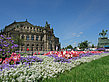 Semperoper mit Blumen - Sachsen (Dresden)