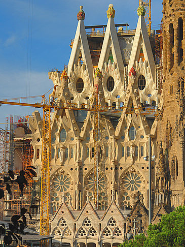 Fotos Sagrada Família | Barcelona