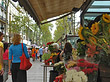 Fotos Blumenstand in der La Rambla | Barcelona