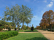 Fotos Parkanlage und Wege im Parc Ciutadella | Barcelona