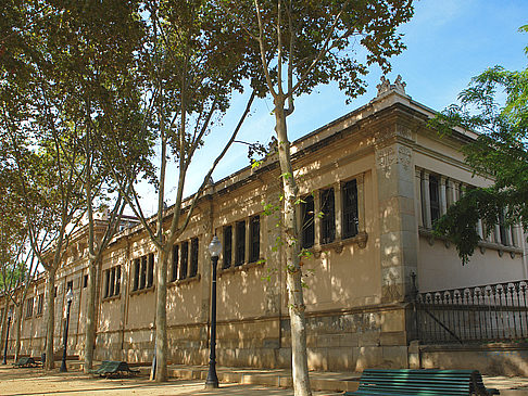 Museu de Geologia Bild Reiseführer  in Barcelona 