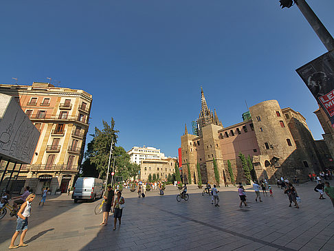Catedral Bild Reiseführer  