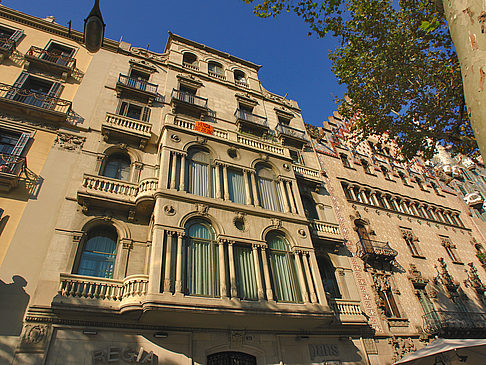 Museu del Perfum Ansicht Attraktion  