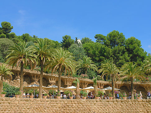 Fotos Park Güell | Barcelona