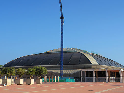 Estadi Olímpic