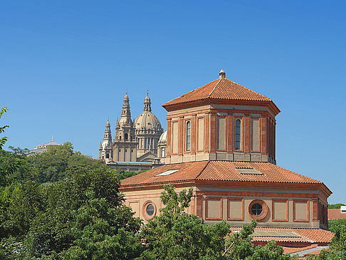 Fotos Museu d’Arqueologia | Barcelona