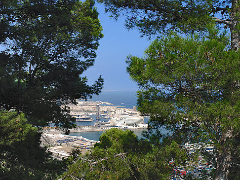 Foto World Trade Center Barcelona - Barcelona