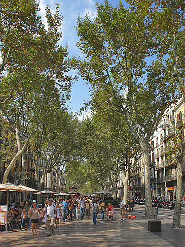 Rambles Foto 