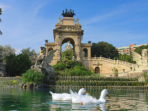 Cascada Foto 