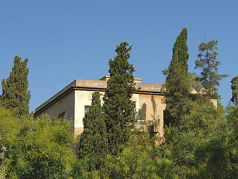 Foto Institut i Jardí Botànic - Barcelona